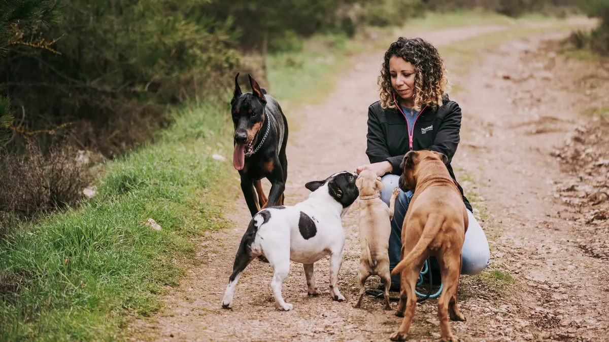 Woman interacting with dogs on a forest path during a walk.