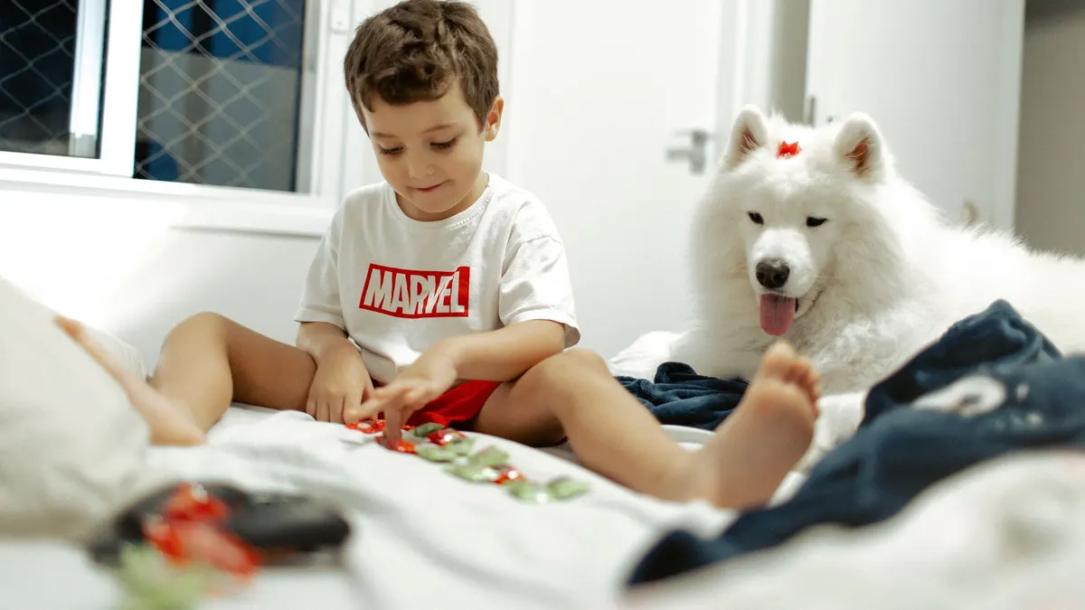 A young boy plays indoors with a Samoyed dog on a cozy bed, creating a warm, playful atmosphere.