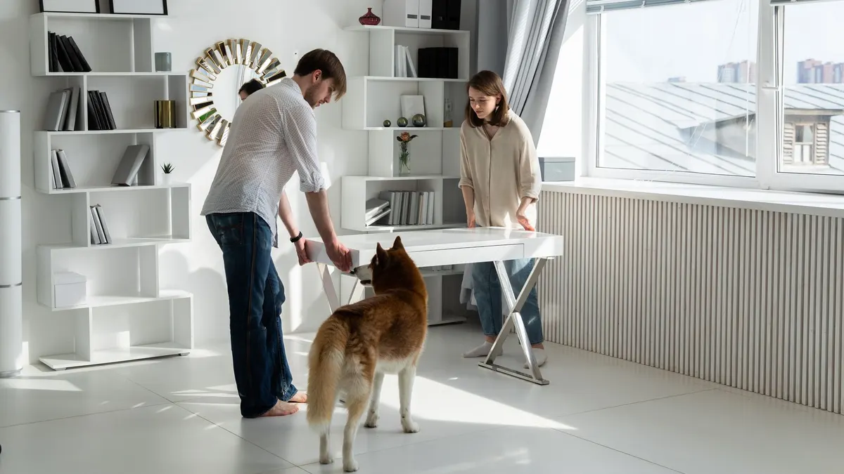 A couple sets up a home office in a bright room with their pet dog watching.