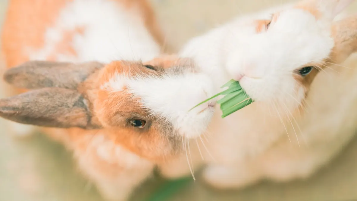 Close-up photo of two rabbits sharing a green leaf in a soft, natural setting.