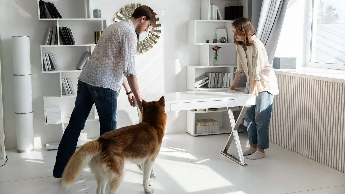 A couple adjusting a desk in a bright, modern living room with a dog observing.