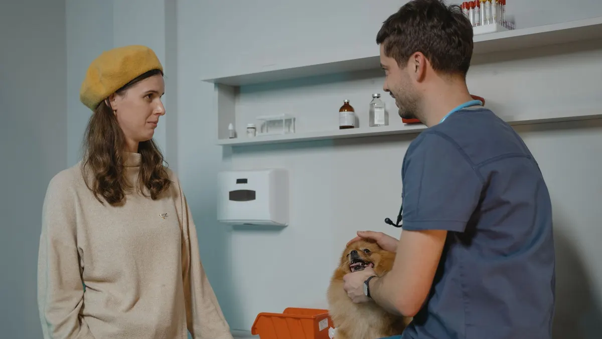 Veterinarian consulting with dog owner in a clinic while holding a Pomeranian.
