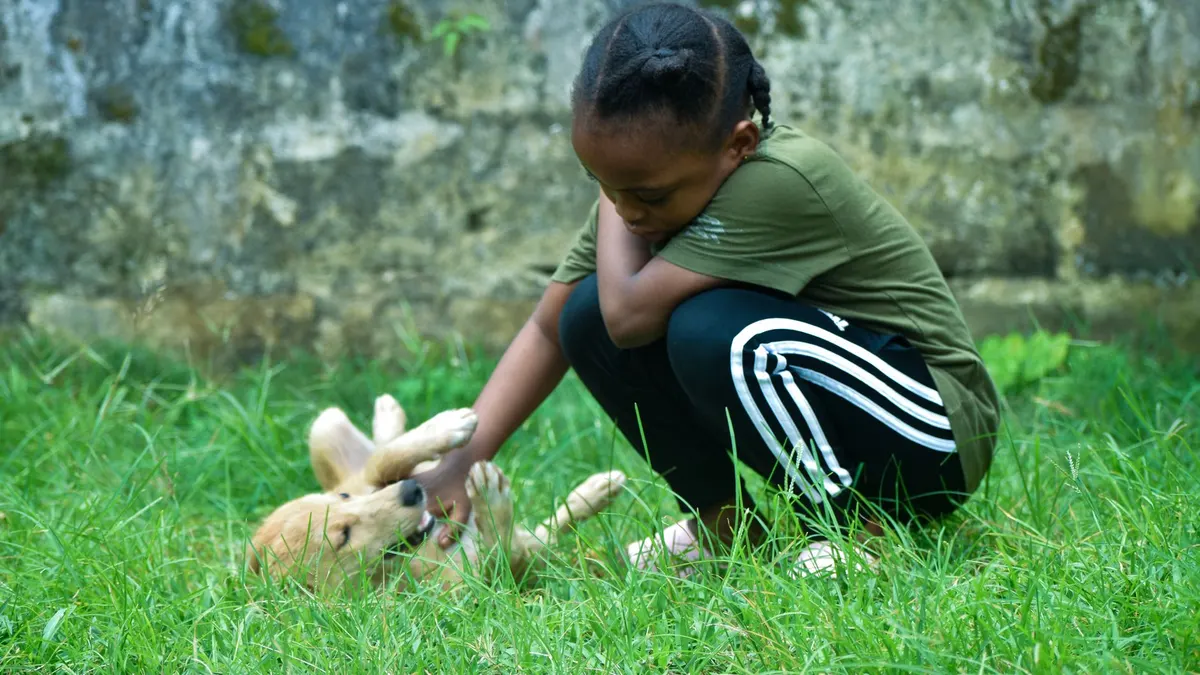 A joyful moment of a young African girl interacting with a playful puppy in a grassy outdoor setting in Liberia.