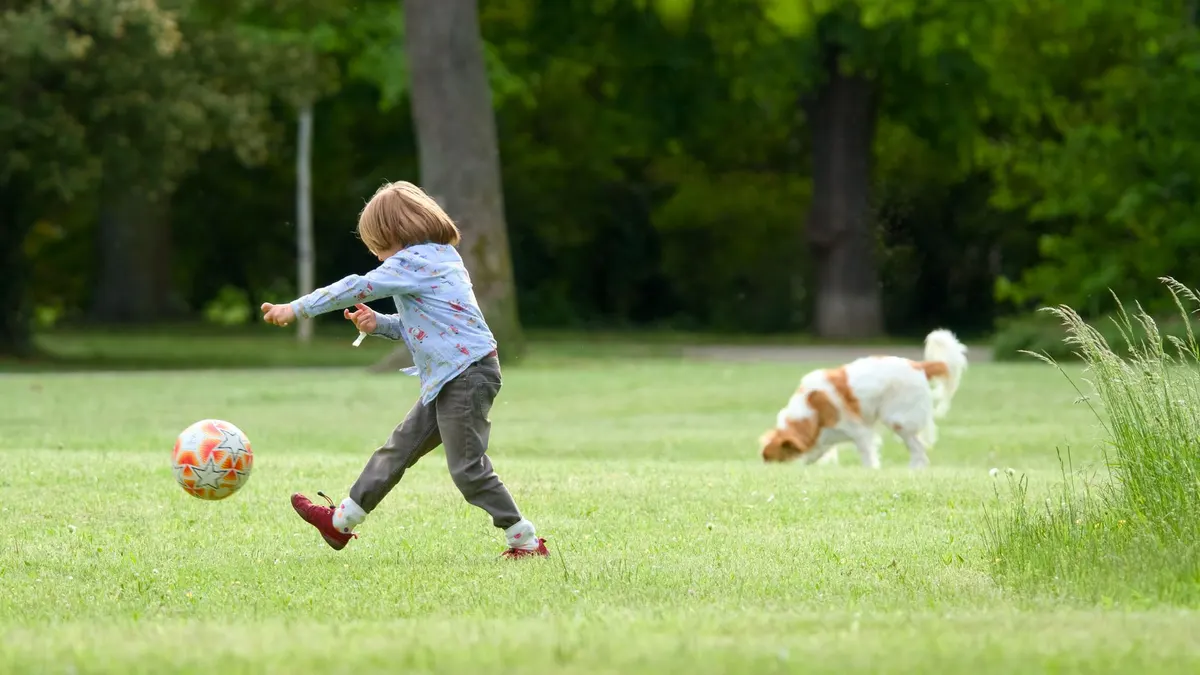 A young child kicks a soccer ball in a green park while a dog explores nearby.
