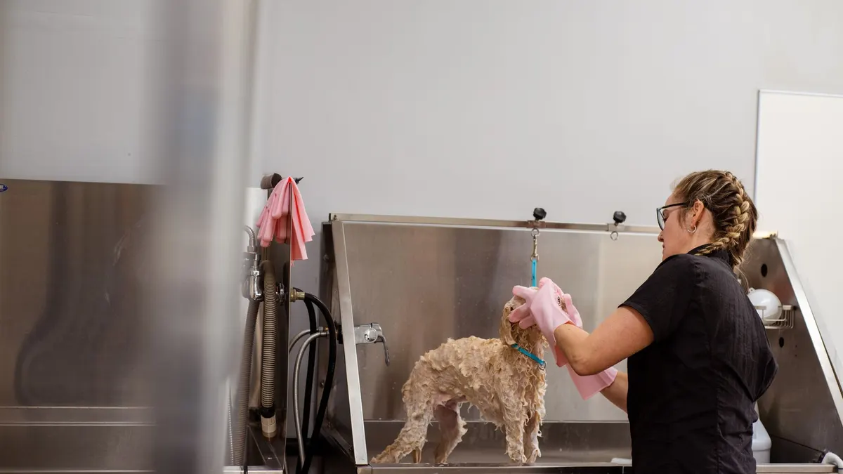 A dog groomer is bathing a small dog in a professional grooming salon, showcasing pet care.