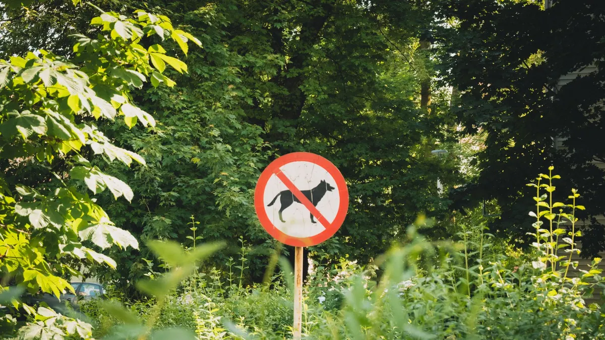 Sign prohibiting dogs surrounded by lush greenery in a sunny outdoor setting.