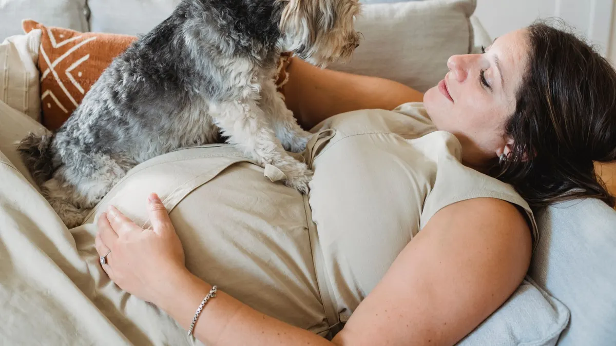 Side view of relaxed pregnant female in casual clothes lying on comfortable sofa and caressing adorable Yorkshire Terrier puppy while spending time together at home