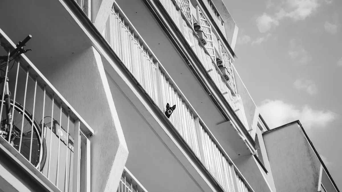 Low angle view of a black and white apartment building with a dog looking out from a balcony.